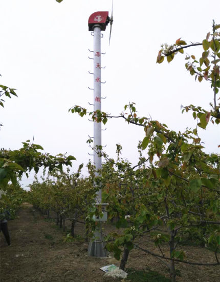 Сельскохозяйственный вентилятор, покрывающий садовый радиус 65 м (FSJD-5.5)